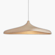 Asterwood Vessel Iron Pendant Light — gallery image 1
