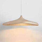 Asterwood Vessel Iron Pendant Light — gallery image 10