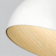 Hartley Vessel Acrylic Dome Ceiling Light — gallery image 16