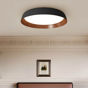 Norwood Vessel Acrylic Ceiling Light — gallery image 5