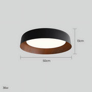 Norwood Vessel Acrylic Ceiling Light — gallery image 13