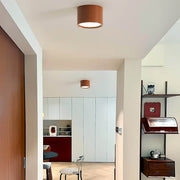 Greenwood Vessel Acrylic Ceiling Light — gallery image 5
