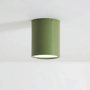 Greenwood Vessel Acrylic Ceiling Light — gallery image 8