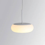 Greystone Vessel Acrylic Pendant Light — gallery image 13