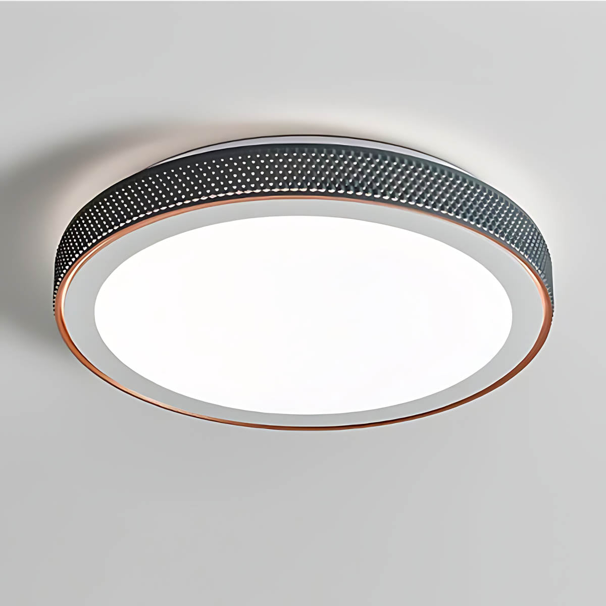 Elmsford Vessel Acrylic Ring Ceiling Light — gallery image 11