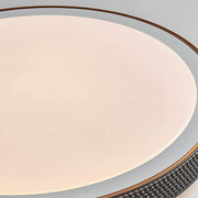 Elmsford Vessel Acrylic Ring Ceiling Light — gallery image 14