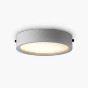 Brier Span Acrylic Ceiling Light — gallery image 1
