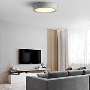 Brier Span Acrylic Ceiling Light — gallery image 2