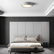 Brier Span Acrylic Ceiling Light — gallery image 8