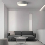 Brier Span Acrylic Ceiling Light — gallery image 9