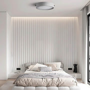 Brier Span Acrylic Ceiling Light — gallery image 6