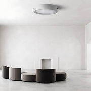 Brier Span Acrylic Ceiling Light — gallery image 3