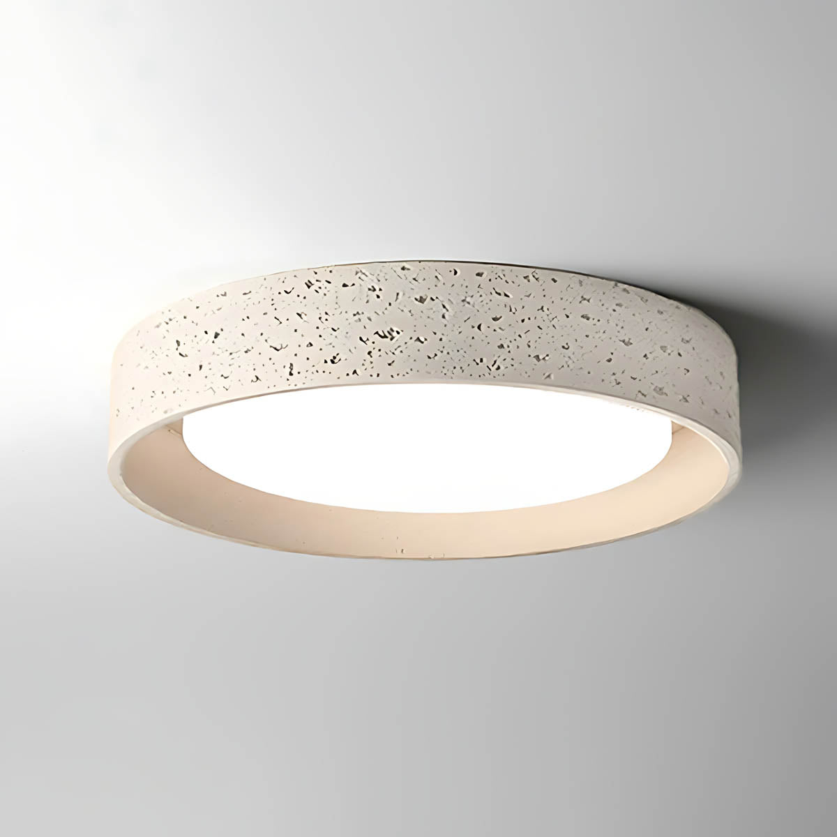 
Birch Span Acrylic Ceiling Light — photo 10