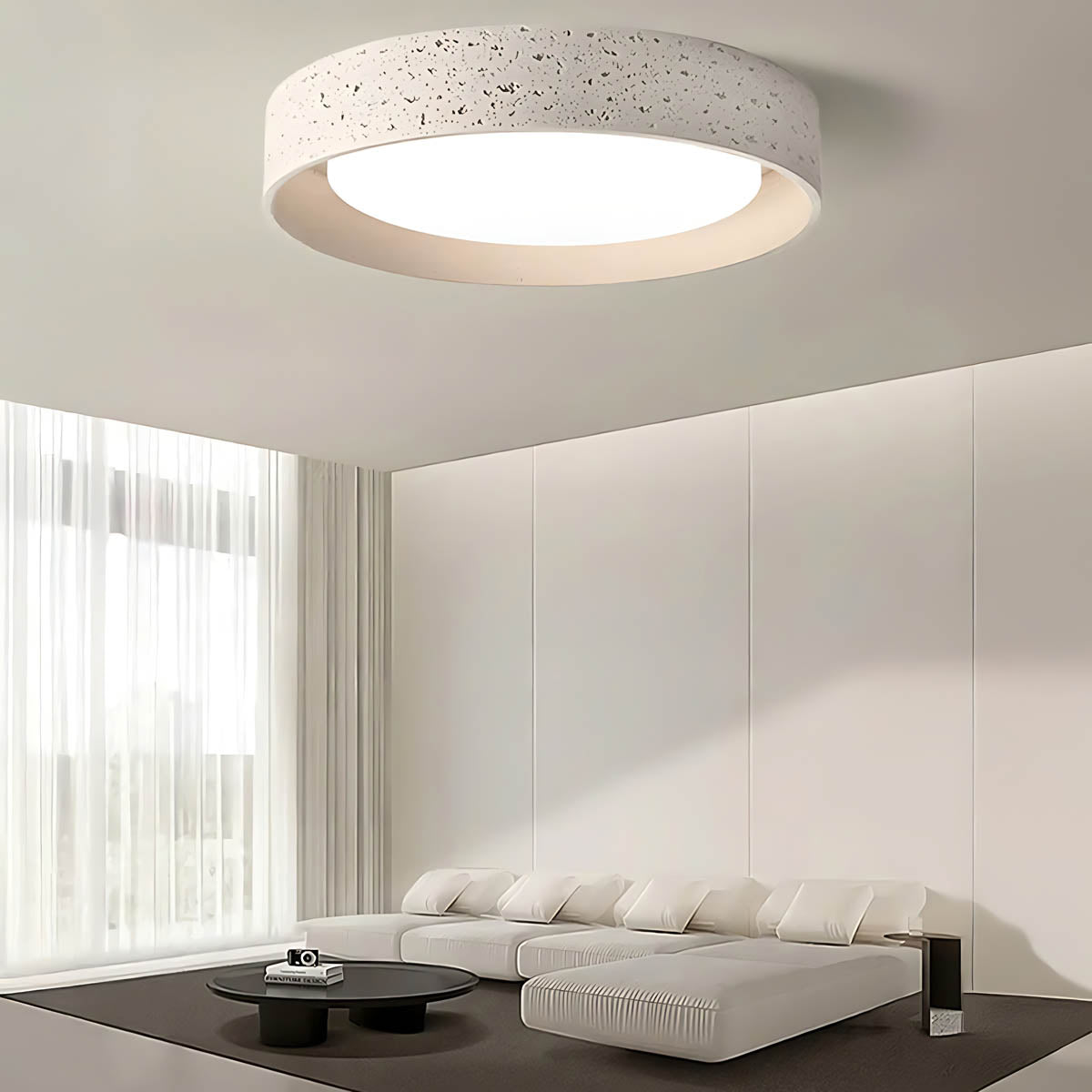 
Birch Span Acrylic Ceiling Light — photo 4
