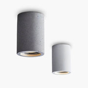 Sequoia Span Iron Ceiling Light — gallery image 1