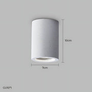 Sequoia Span Iron Ceiling Light — gallery image 14