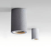 Sequoia Span Iron Ceiling Light — gallery image 9