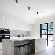 Sequoia Span Iron Ceiling Light — gallery image 5