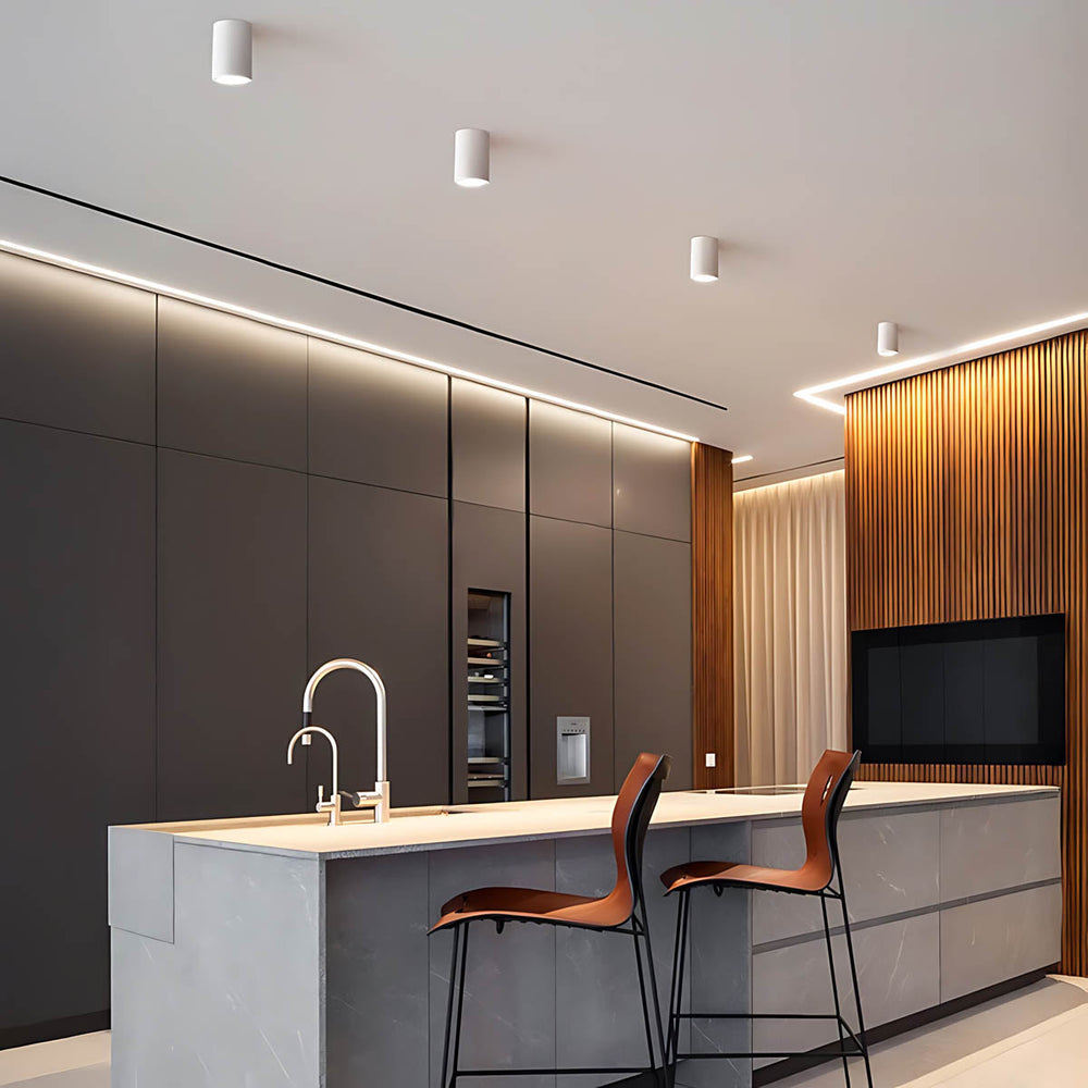 Sequoia Span Iron Ceiling Light — gallery image 4