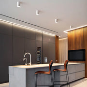 Sequoia Span Iron Ceiling Light — gallery image 4