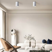 Sequoia Span Iron Ceiling Light — gallery image 6