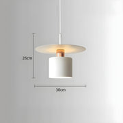 Woodford Cove Pendant Light — gallery image 14