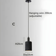 Kestrel Reach Iron Pendant Light — gallery image 21