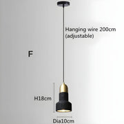 Kestrel Reach Iron Pendant Light — gallery image 24