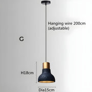 Kestrel Reach Iron Pendant Light — gallery image 25