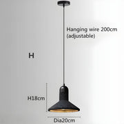 Kestrel Reach Iron Pendant Light — gallery image 29
